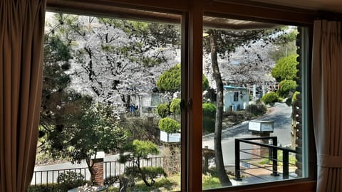 Double Room | Free WiFi