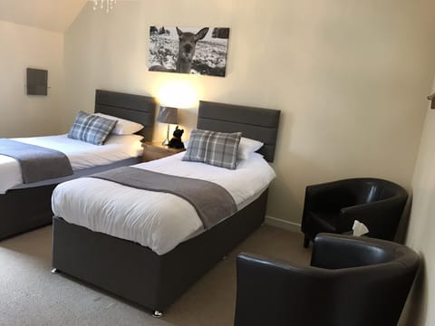 Deluxe Twin Room | Desk, iron/ironing board, free WiFi, bed sheets