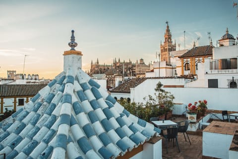 Rooftop terrace