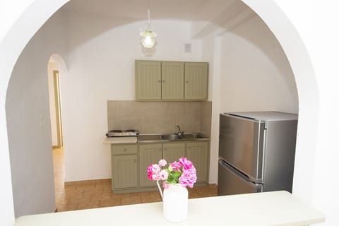 Family Apartment, 1 Bedroom, Sea View | Private kitchen | Full-size fridge, stovetop, coffee/tea maker, electric kettle