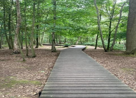 House | View from property