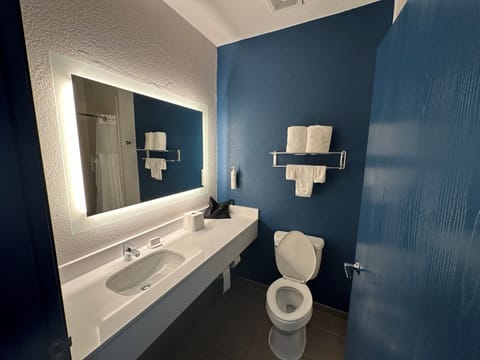 Room, 1 King Bed with Sofa bed | Bathroom | Free toiletries, towels