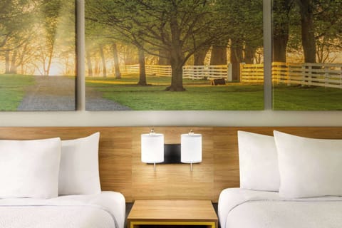 Desk, soundproofing, free WiFi, bed sheets