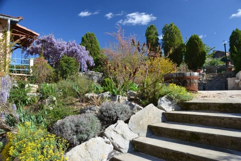 House | Property grounds