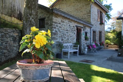 Cottage | Interior detail