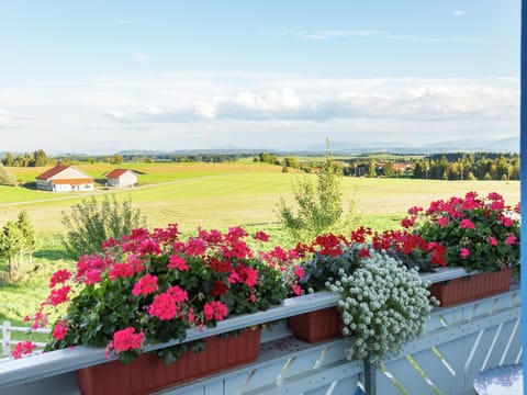 House | View from property