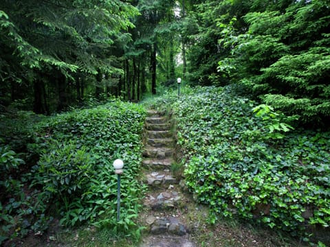 Chalet | View from property