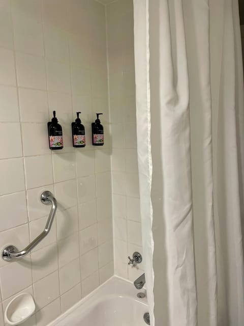 Combined shower/tub, free toiletries, hair dryer, towels