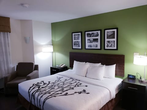 Standard Room, 1 King Bed, Non Smoking | Desk, iron/ironing board, free WiFi, bed sheets