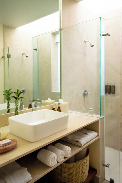 Deluxe Double | Bathroom | Shower, rainfall showerhead, eco-friendly toiletries, hair dryer