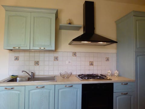 House | Private kitchen | Stovetop, highchair