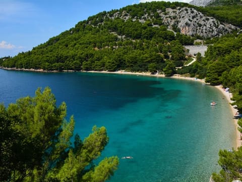 House | View from property