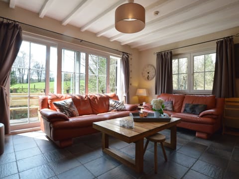 House | Living area | TV, table tennis
