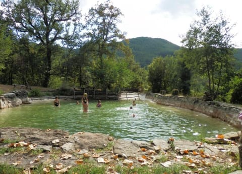 House | Pool | Outdoor pool