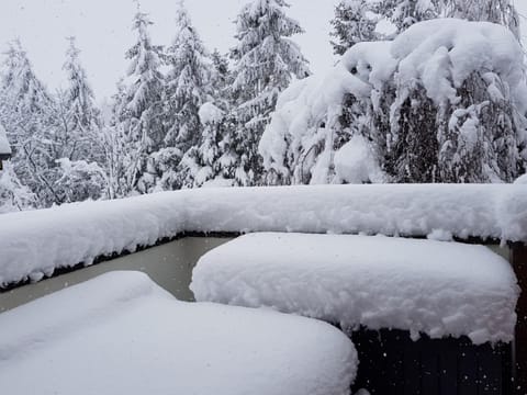 Apartment | Exterior