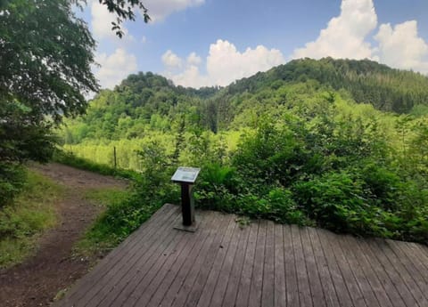 House | View from property