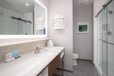 Room, 1 King Bed, Refrigerator & Microwave | Bathroom shower