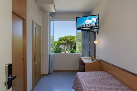 Single Room | In-room safe, free WiFi, bed sheets