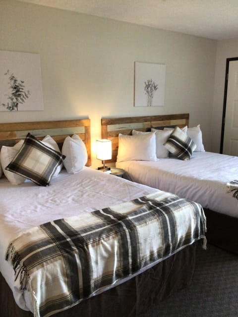 2 Beds with Kitchenette - no pets | Blackout drapes, WiFi (free), bed sheets