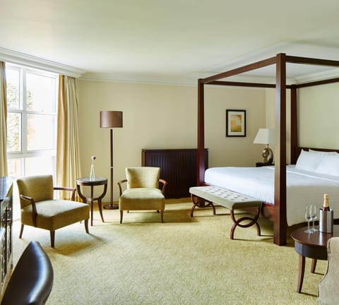 Suite | Premium bedding, desk, free WiFi, bed sheets