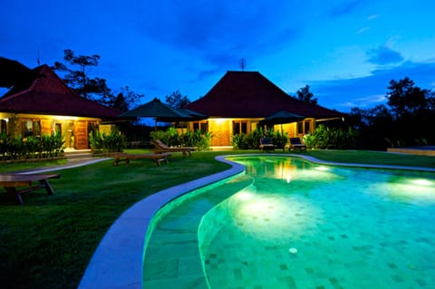 Outdoor pool, sun loungers