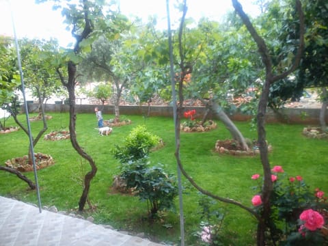 Studio, Smoking, Balcony | Garden
