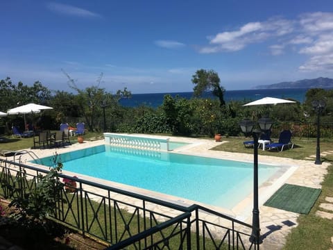 Outdoor pool, sun loungers