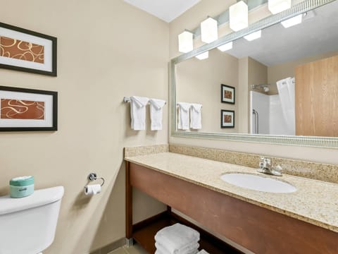 Suite, 1 King Bed, Non Smoking | Desk, laptop workspace, blackout drapes, iron/ironing board