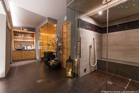 Sauna, steam room, massages