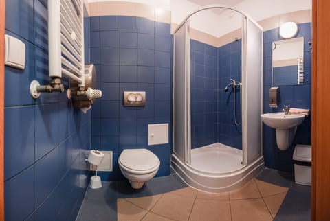 Double Room | Bathroom | Shower, towels, toilet paper