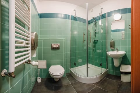 Shower, towels, toilet paper