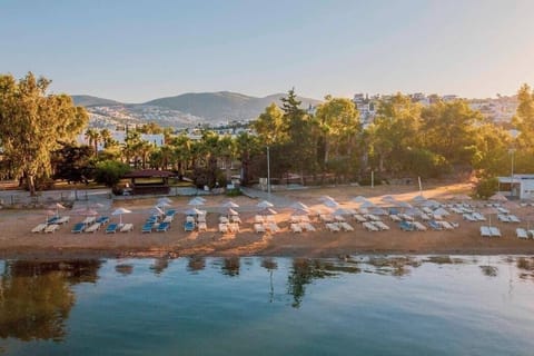 Private beach, sun loungers, beach umbrellas, beach towels