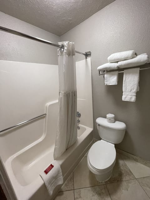 Combined shower/tub, free toiletries, hair dryer, towels