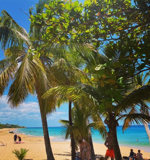 Beach nearby, beach towels, 7 beach bars