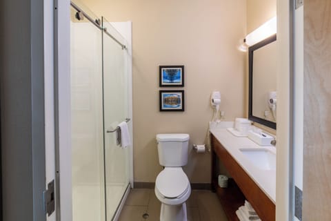 Suite, 1 King Bed | Bathroom | Hair dryer, towels, soap, shampoo