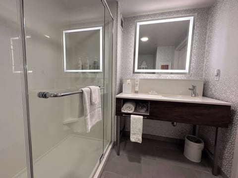 One king study sofabed non smoking | Bathroom shower