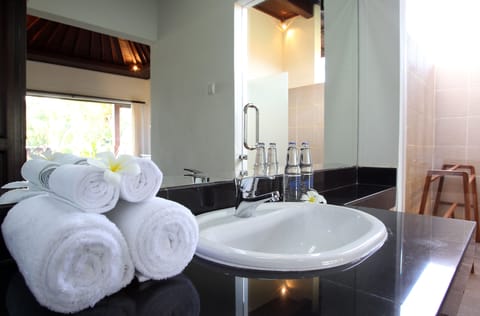 Premium Room, Garden View | Bathroom sink