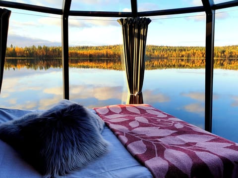 Studio Suite (Premium) | Free WiFi, bed sheets