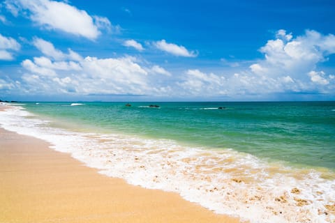 Condo (2 Bedrooms) | Property amenity