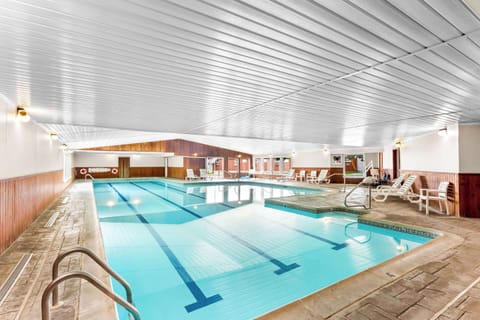 Indoor pool, sun loungers