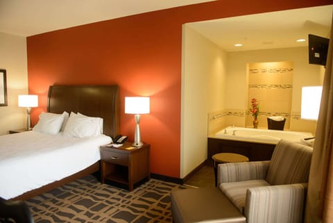 Room, 1 King Bed | Hypo-allergenic bedding, iron/ironing board, free cribs/infant beds