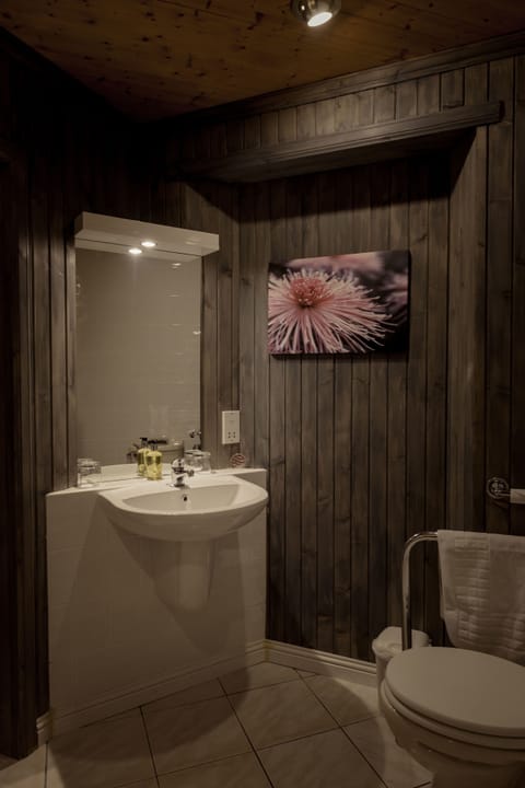 Classic Double or Twin Room, Accessible, Ground Floor | Bathroom amenities | Free toiletries, hair dryer, bathrobes, towels