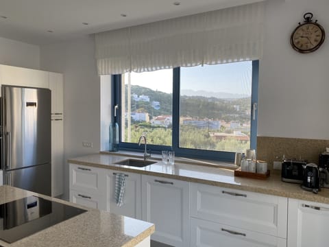 Villa - Beach Front | Private kitchen | Fridge, microwave, oven, stovetop