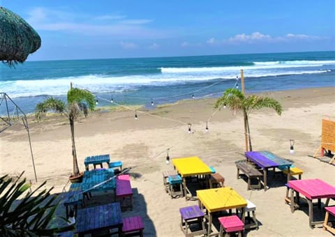 On the beach, black sand, surfing