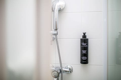 Shower, free toiletries, hair dryer, bidet