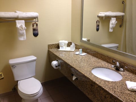 Combined shower/tub, free toiletries, hair dryer, towels