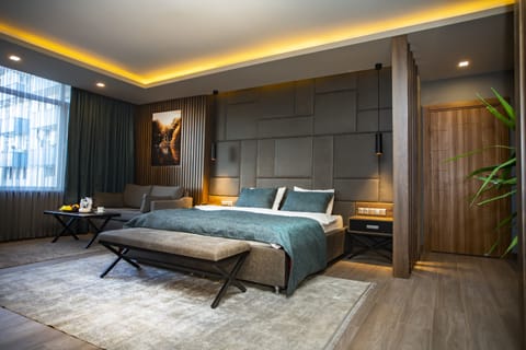 Deluxe Studio Suite, Kitchenette | Individually decorated, individually furnished, desk, laptop workspace