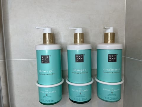 Eco-friendly toiletries, hair dryer, towels, soap