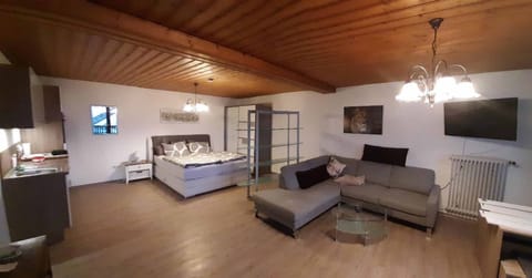 Apartment, 1 Queen Bed with Sofa bed, Balcony, Mountain View | Living area | TV