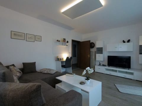 Apartment | Living area | TV